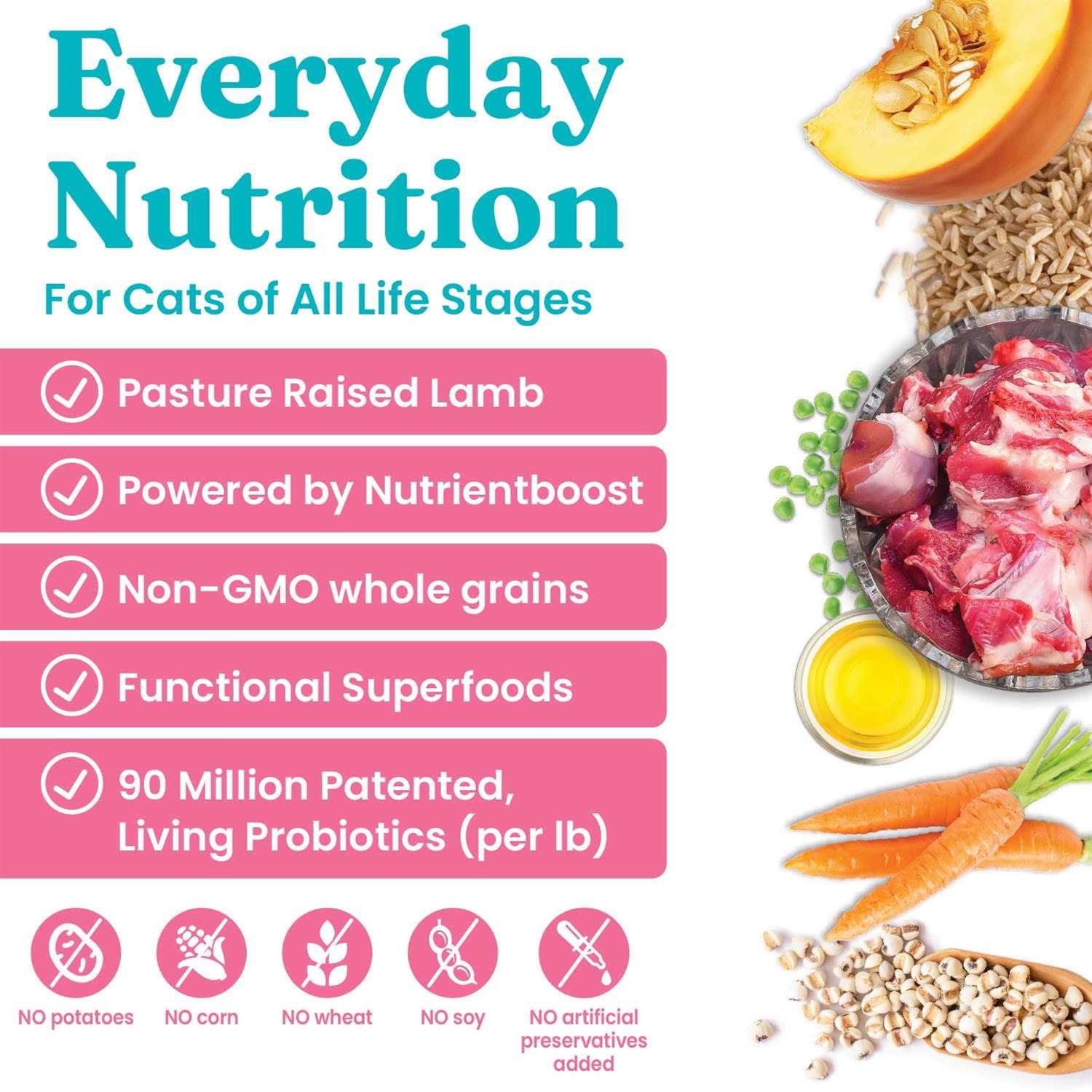 Alternative view of Solid Gold NutrientBoost Katz N Flocken Dry Cat Food with Lamb