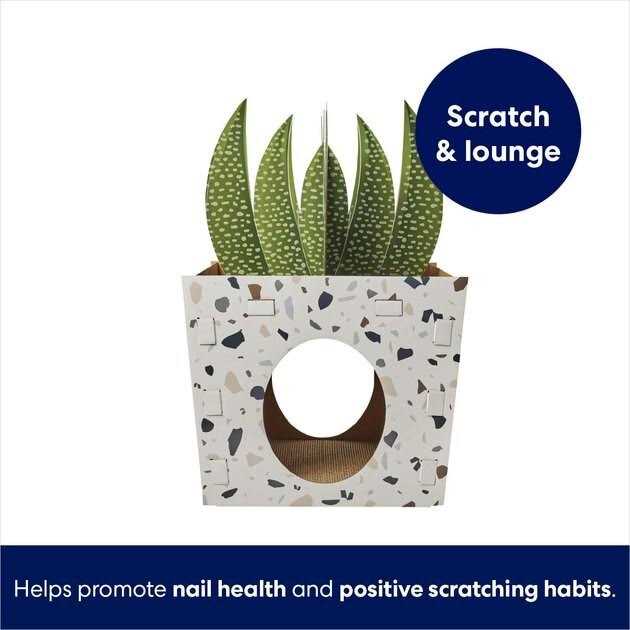 Alternative view of Frisco Potted Succulent Cardboard Cat House