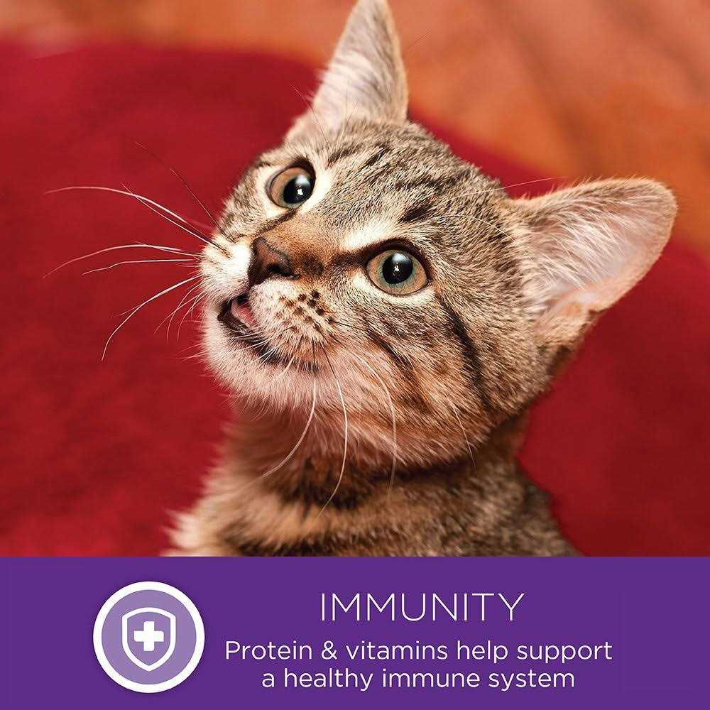 Alternative view of Wellness Healthy Indulgence Natural Grain Free Gravies and Gravy Cat Food Pouch