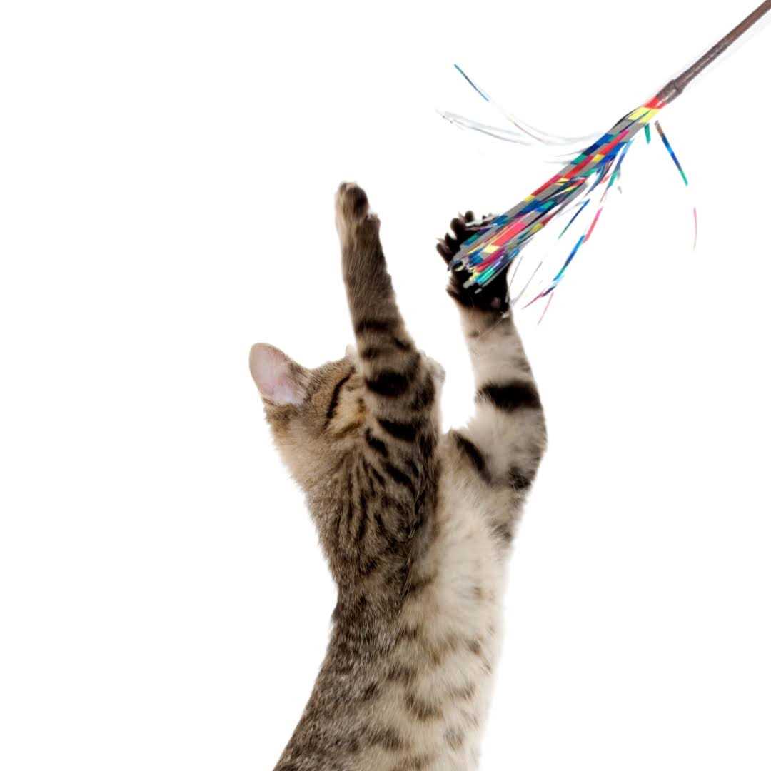 Alternative view of Go Cat Sparkler Wand Toy