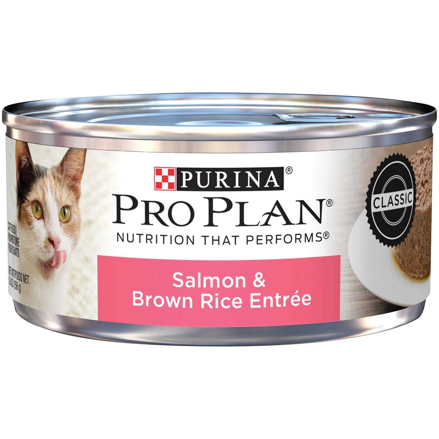 Purina Pro Plan Pate Wet Cat Food