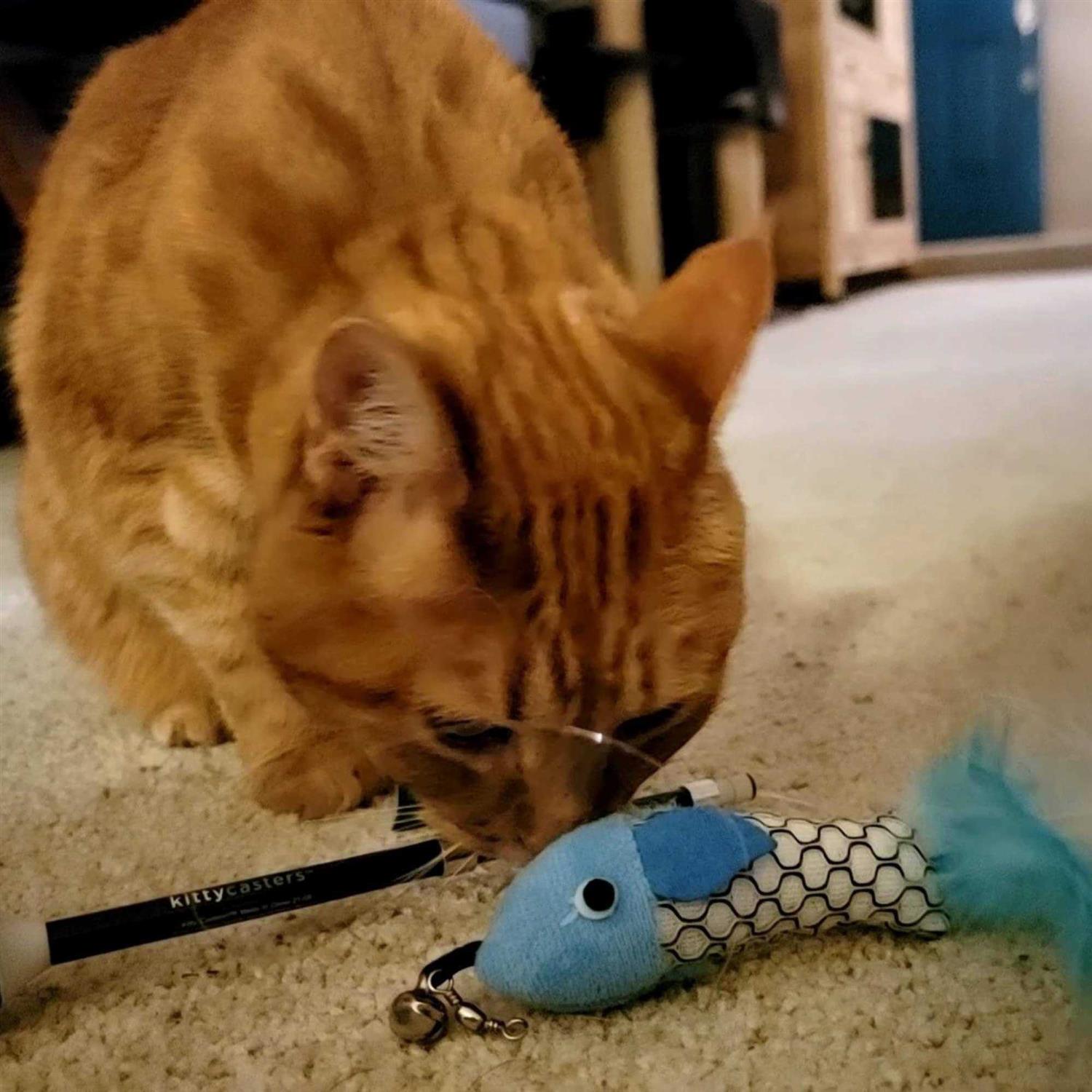 Alternative view of Kid Casters Cat Caster Fishing Pole Toy Tangle Free Retractable & Easy to Store. Includes Two Interchangeable Teaser Toys