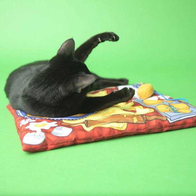 Alternative view of Fat Cat Big Mama's Makin' Biscuits Boogie Mat