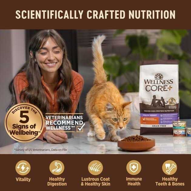 Alternative view of Wellness CORE Digestive Health Chicken & Turkey Pate Variety Pack Wet Cat Food