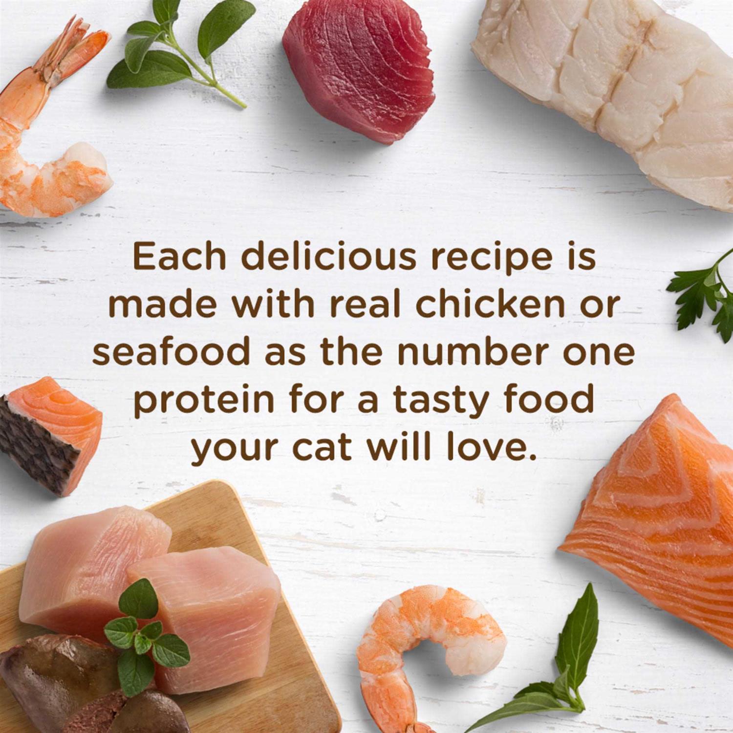 Alternative view of Rachael Ray Nutrish Wet Cat Food, Ocean Fish-A-Licious - 2.8 oz cup