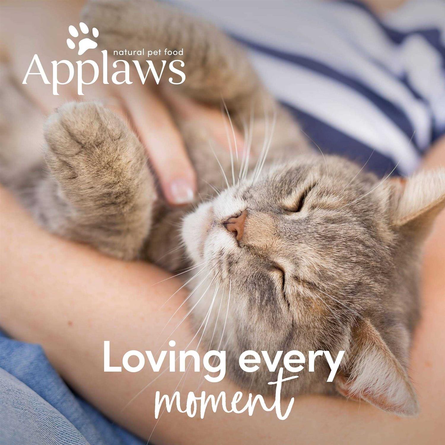 Alternative view of Applaws Limited Ingredients Grain Free Chicken with Turkey Recipe Complete Dry Adult Cat Food