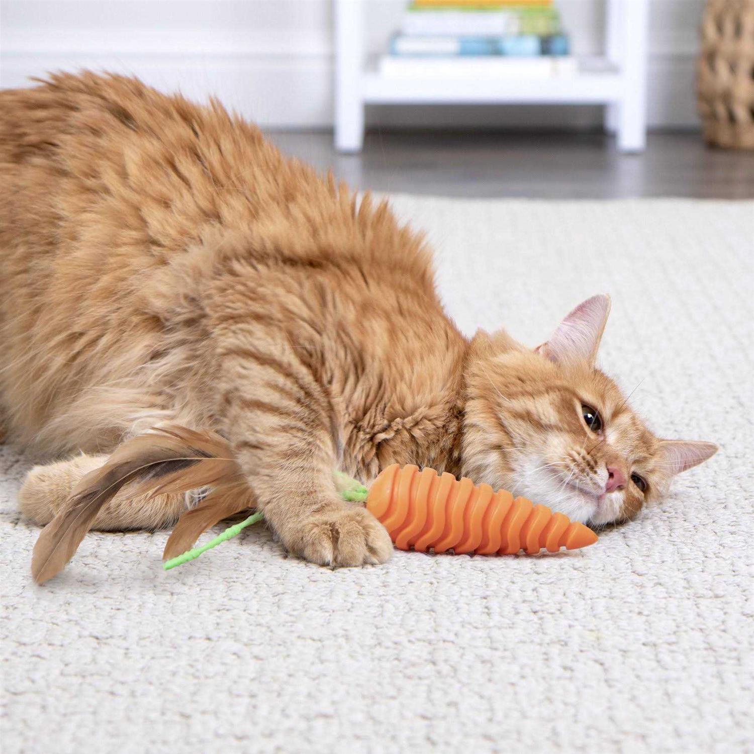 Alternative view of SmartyKat Clean Up Carrot Cat Grooming Toy